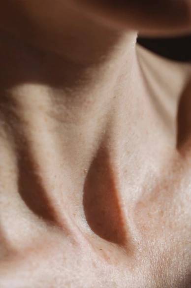 L'ultime routine de soins nourrissants pour les peaux sèches