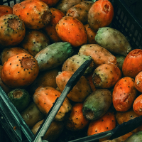 Huile de Figue de Barbarie : Pourquoi ce "Luxe du Désert" est le Graal pour votre peau et vos cheveux