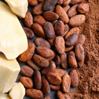 Beurre de cacao : Pourquoi ce trésor d'Afrique de l'Ouest est l'allié ultime des peaux sèches?